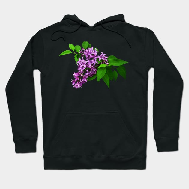 Lilacs - Lilacs and Leaves Hoodie by SusanSavad